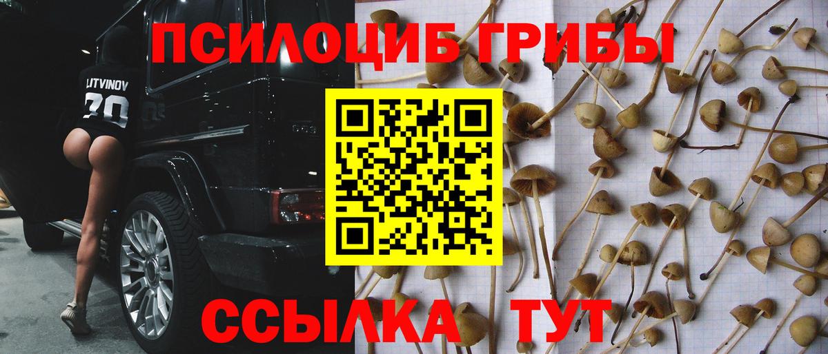 Галлюциногенные грибы мухоморы Пушкино